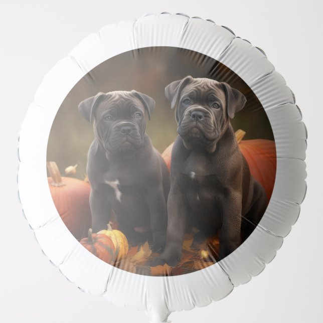 Cane Corso Puppy Autumn Delight Pumpkin Balloon (Front)