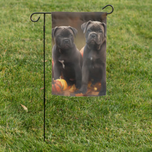 Cane Corso Puppy Autumn Delight Pumpkin Garden Flag