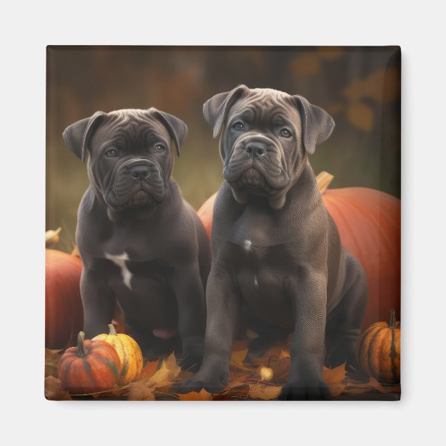 Cane Corso Puppy Autumn Delight Pumpkin Magnet (Front)