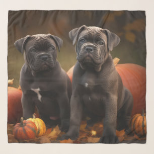 Cane Corso Puppy Autumn Delight Pumpkin Scarf