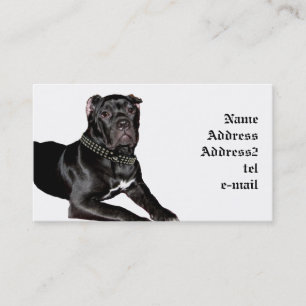 Cane corso puppy business card