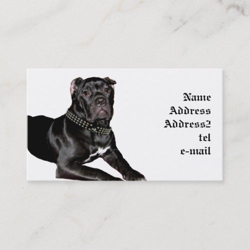 Cane corso puppy business card