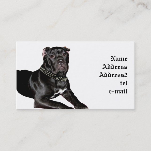Cane corso puppy business card (Front)