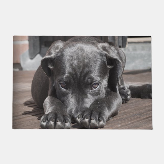 Cane Corso Puppy Doormat (Front)