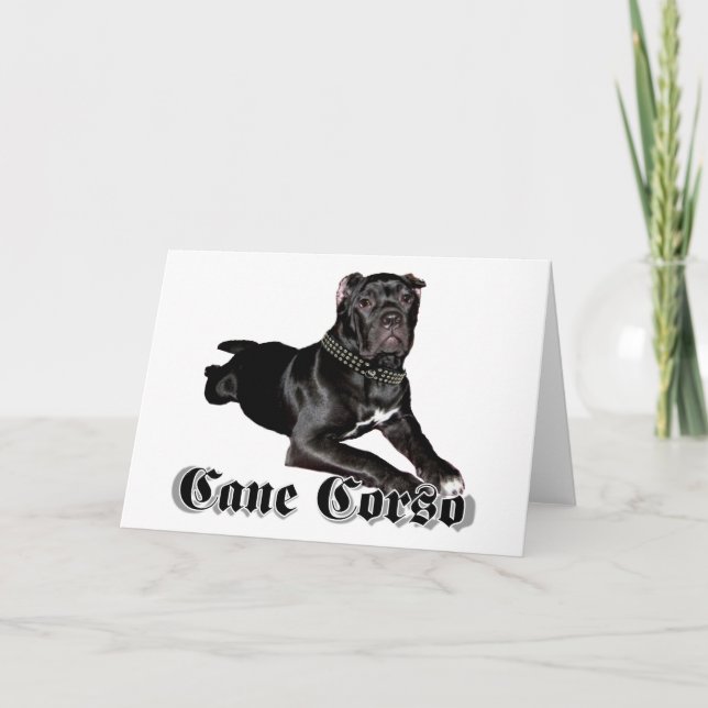 Cane Corso puppy greeting card (Front)