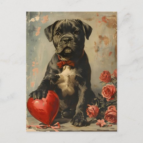 Cane Corso puppy vintage Valentines day Postcard