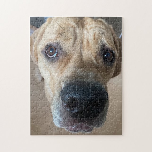 Cane Corso Puzzle (Vertical)