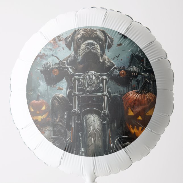Cane Corso Riding Motorcycle Halloween Scary Balloon (Front)