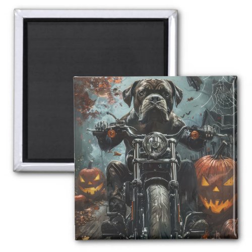 Cane Corso Riding Motorcycle Halloween Scary Magnet