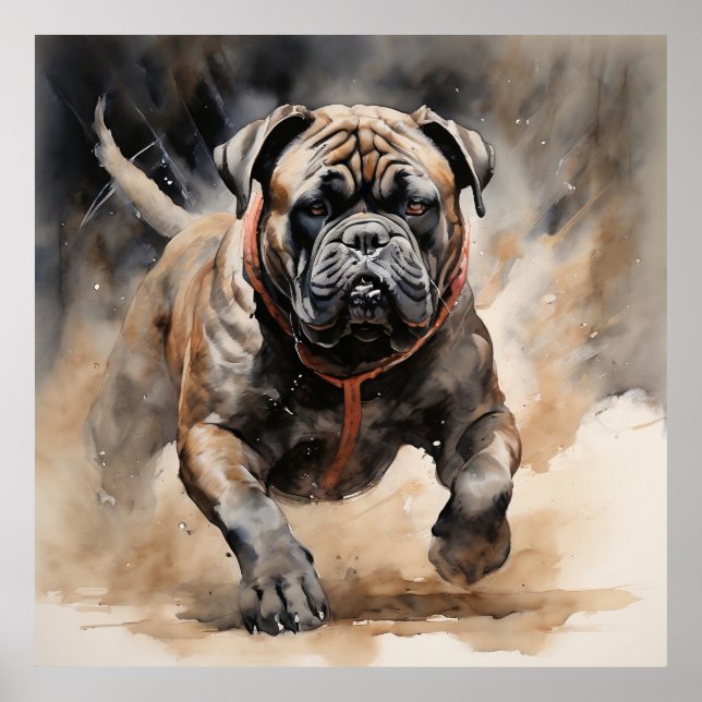Cane Corso Running Ink Drawing  Poster (Front)
