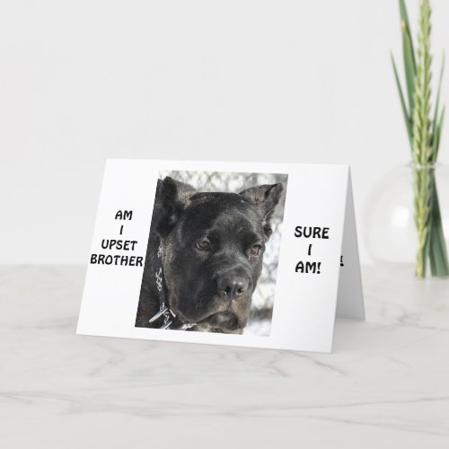 CANE CORSO SAYS BROTHER LOOKS YOUNG ON BIRTHDAY CARD