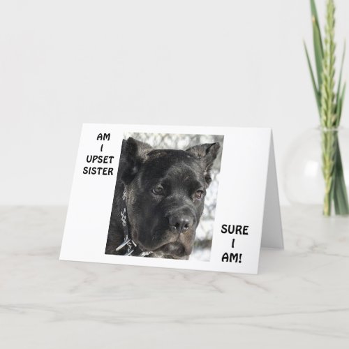 CANE CORSO SAYS SISTER LOOKS YOUNG ON BIRTHDAY CARD