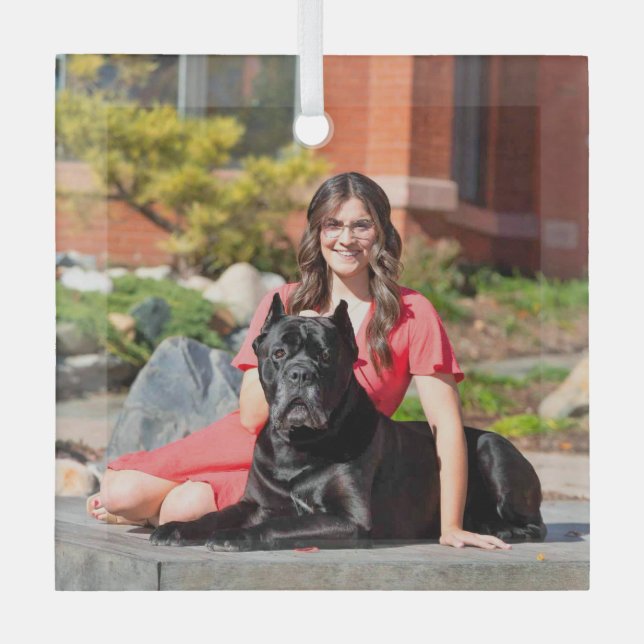 Cane Corso Special Order for CB Glass Ornament (Front)