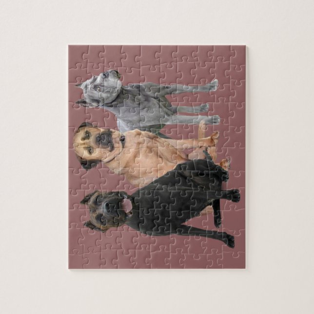Cane Corso Three Jigsaw Puzzle (Vertical)