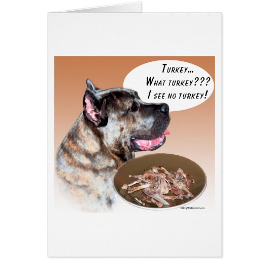 Cane Corso Turkey Cards (Front)