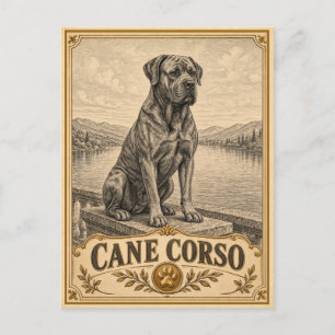 Cane Corso, Vintage Heritage Dog Postcard