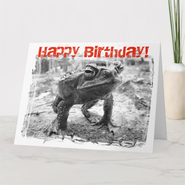Cane Toad Australian Funny Giant Birthday Card (Front)