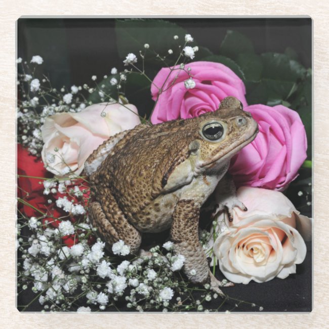 Cane toad in flowers
