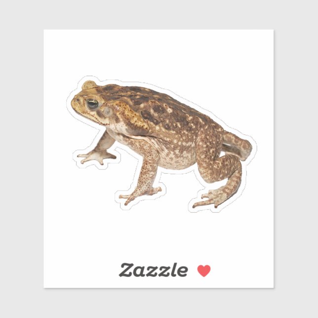 Cane Toad Sticker (Sheet)