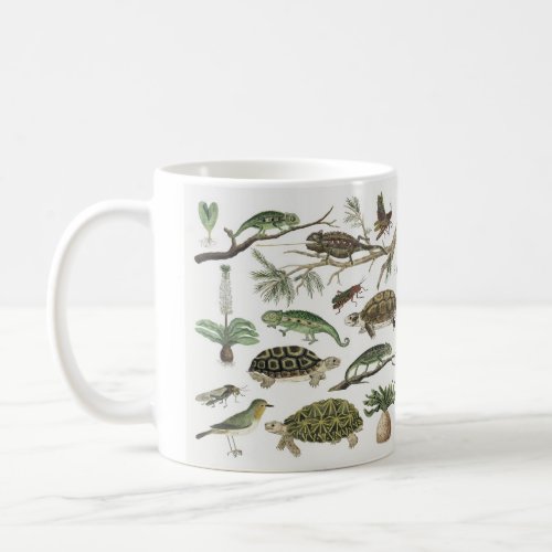 Caneca FAUNA  E FLORA DO BRASIL 325 ml Coffee Mug