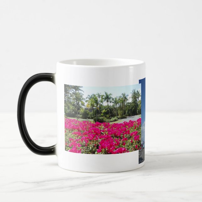 Caneel Bay, St John, USVI Color Morph Mug (Left)
