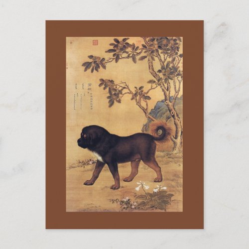 Cangni 苍猊  Tibetan Mastiff Giuseppe Castiglione Postcard