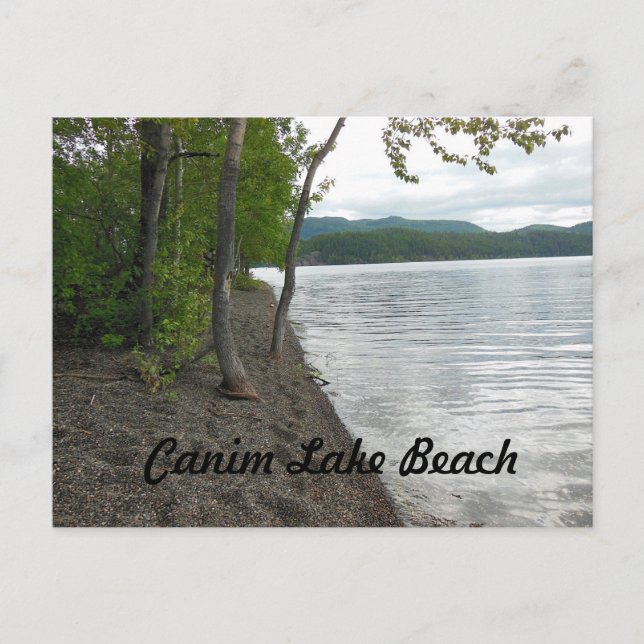 Canim Lake Beach Postcard (Front)