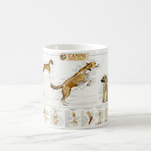 Canine Anatomy Mug