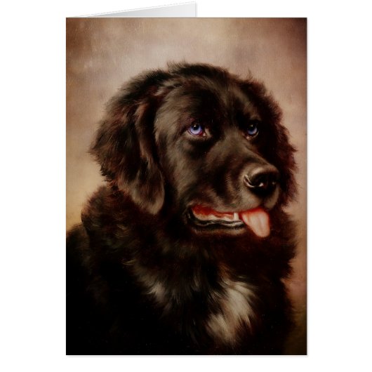 Canine Attachment Cards (Front)