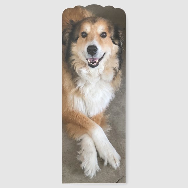Canine  bookmarks (Front)