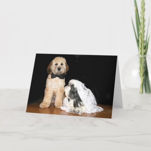 Canine bride and groom card