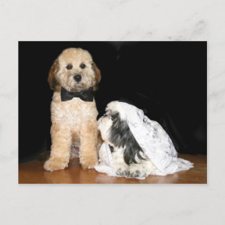 Canine bride and groom postcard