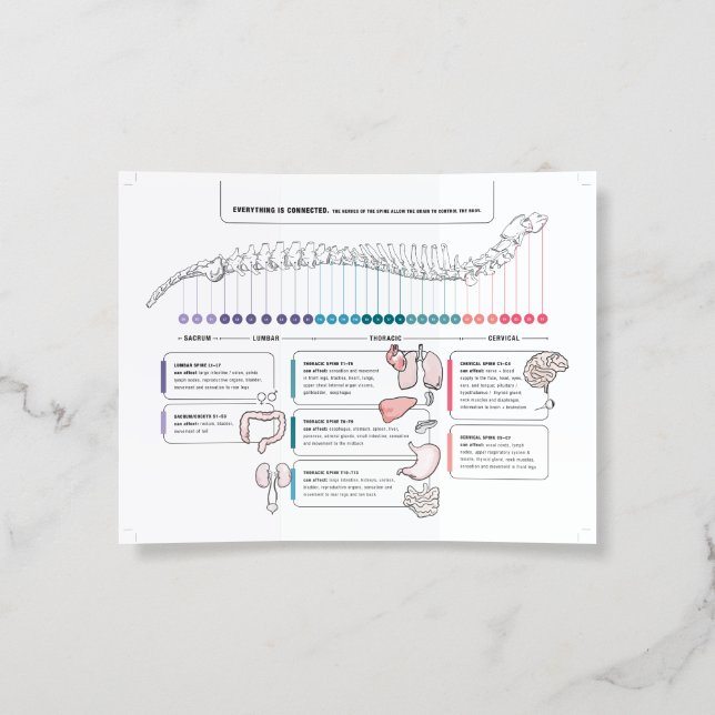 Canine brochures (Inside)