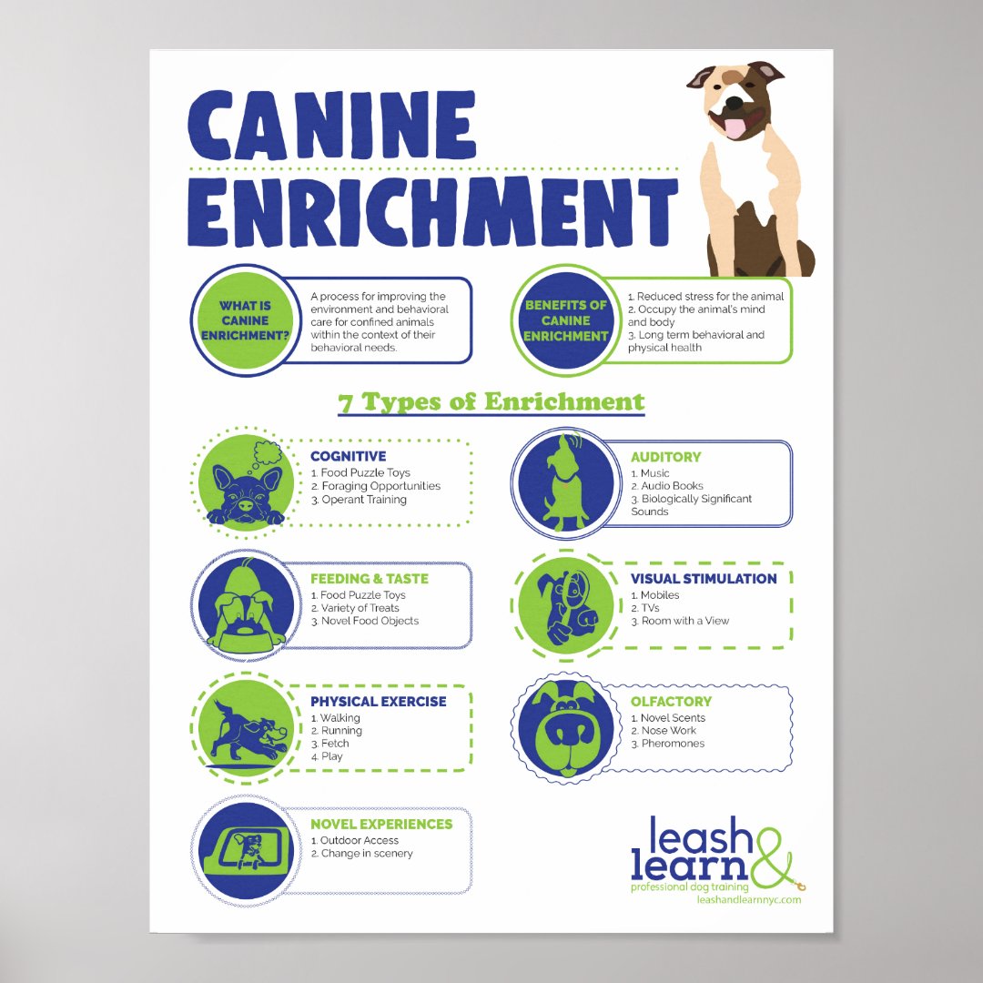 Canine Enrichment Poster | Zazzle