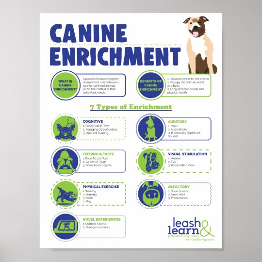 Canine Enrichment Poster Zazzle