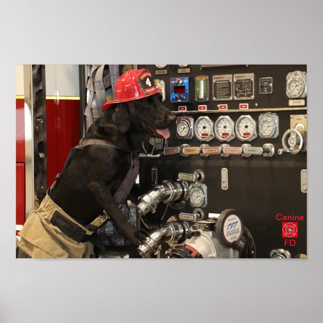 Canine Fire Department Poster (Front)