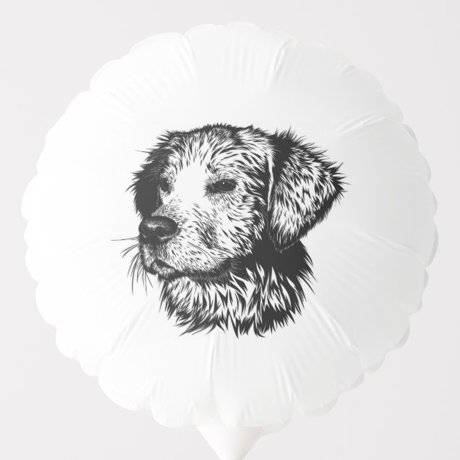 Canine Head Sketch  Balloon (Front)