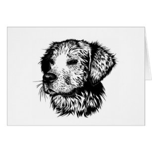 Canine Head Sketch Cards