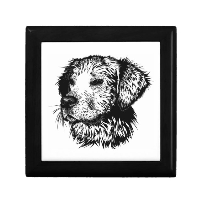 Canine Head Sketch  Gift Box (Front)