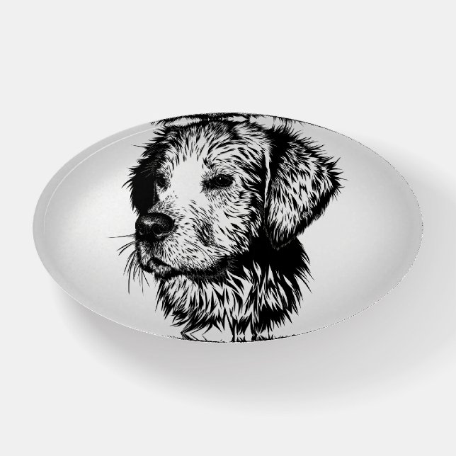 Canine Head Sketch  Paperweight (Front)