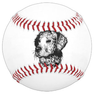 Canine Head Sketch Softball