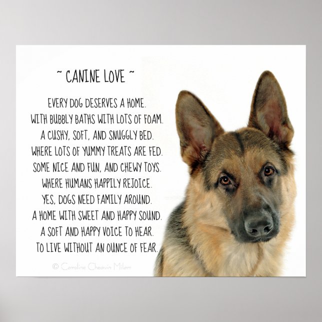 Canine Love Poster (Front)