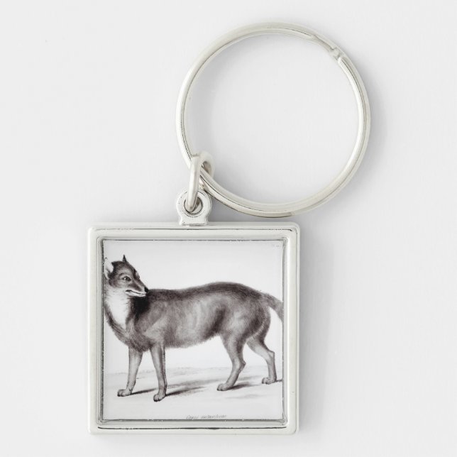 Canis Antarcticus Keychain (Front)