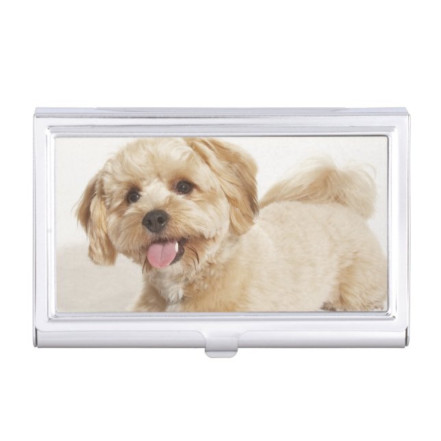 Canis familiaris business card holder (Front)