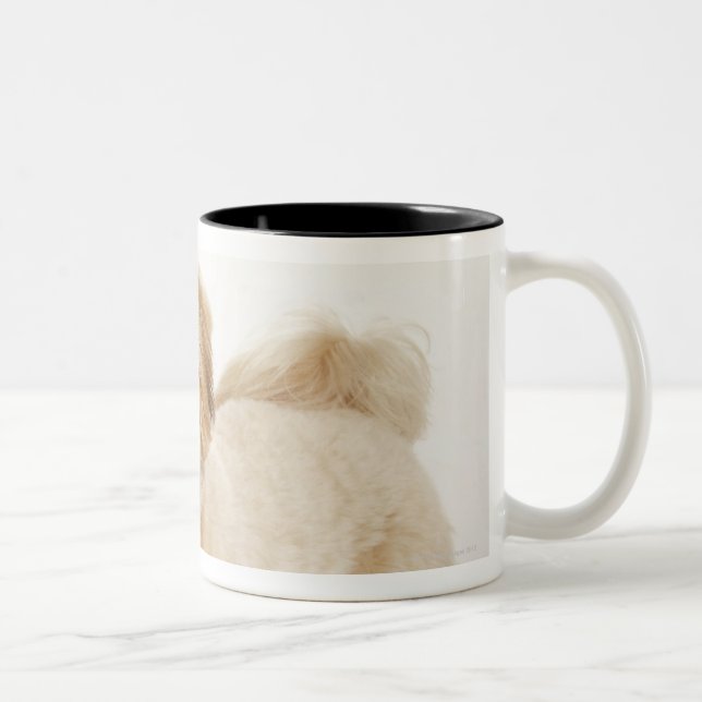 Canis familiaris Two-Tone coffee mug (Right)