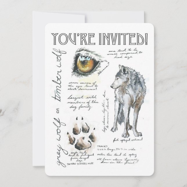 Canis Lupus Wolf Illustration Invitation (Front)