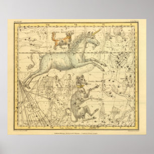 Canis Major, Canis Minor, Monoceros, Argo Navis Poster