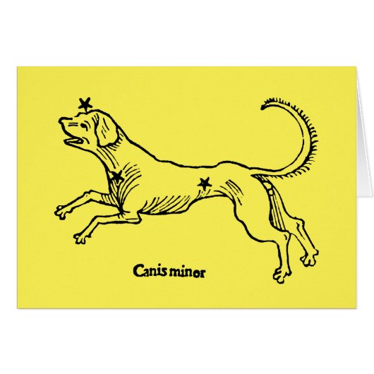 Canis Minor, 1482 Cards (Front Horizontal)