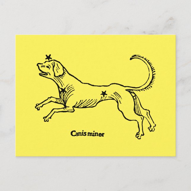 Canis Minor, 1482 Postcard (Front)