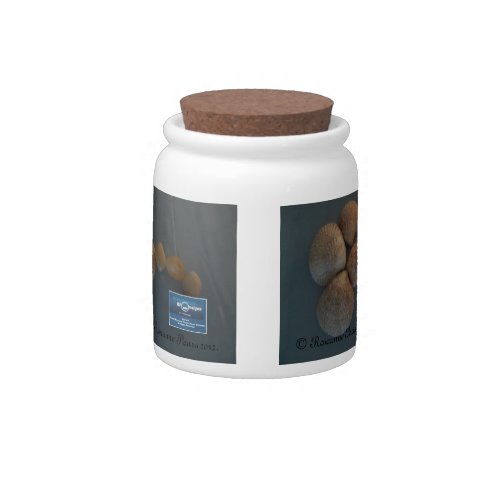 Canister 2 ShellUmbrella RFPMDesigns ️2012 Candy Jar
